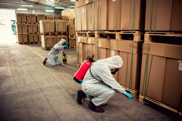 Best Termite Control Services  in Millbrook, AL