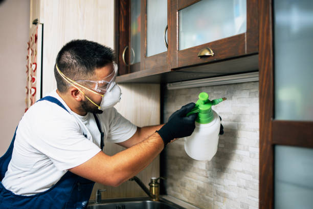 Best Residential Pest Control  in Millbrook, AL