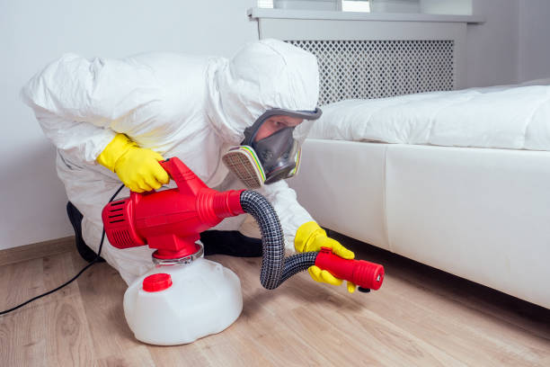 Reliable Millbrook, AL Pest Control Solutions