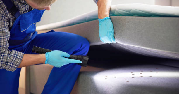 Best Insect Control  in Millbrook, AL