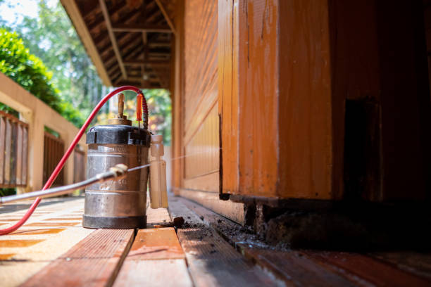 Best Best Pest Control Companies  in Millbrook, AL