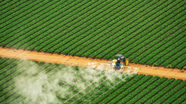 Best Pest Removal Services  in Millbrook, AL