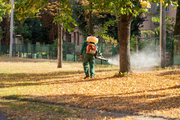 Best Insect Control  in Millbrook, AL