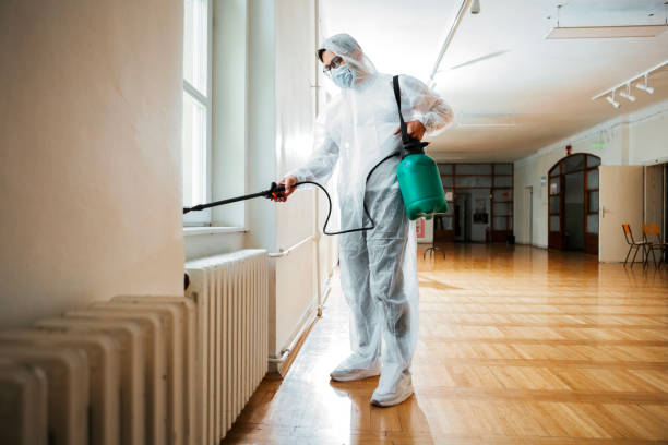 Best Local Pest Control Services  in Millbrook, AL